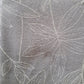 Forest Hill Eyelet Curtain, Forest Hill Eyelet Curtain price in new Zealand, New Zealand best quality Forest Hill Eyelet Curtain